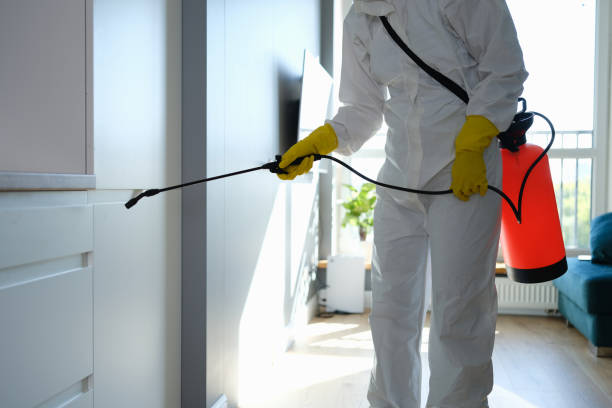Best Residential Mold Removal  in Doa Ana, NM