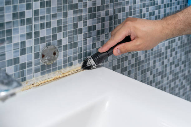 Best Mold Damage Repair  in Doa Ana, NM