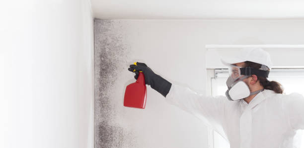 Best Mold Cleaning Services  in Doa Ana, NM